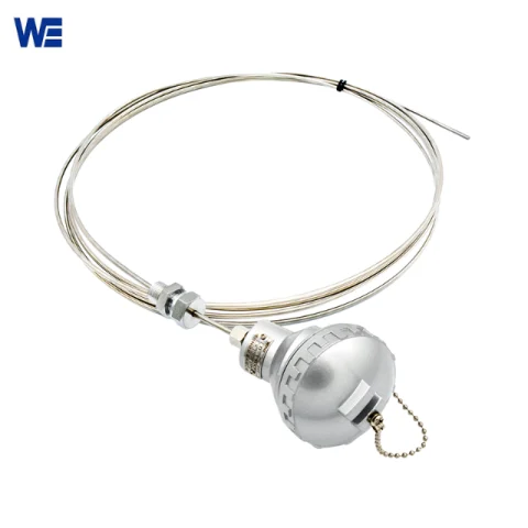 Armored Thermocouple Sensor