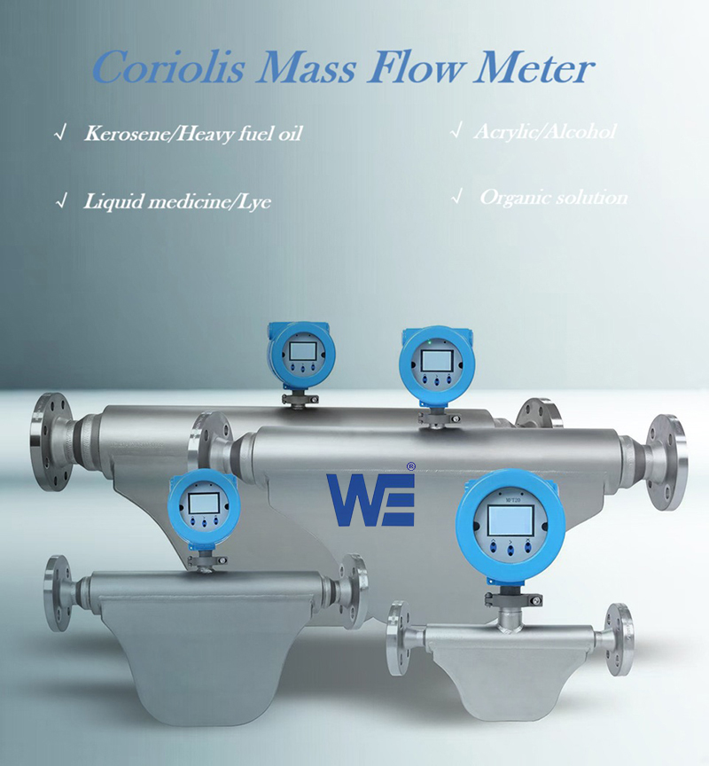 Mass flow density meter-produced by Wepower Electronic