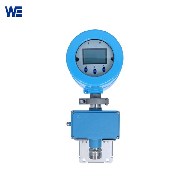 Mass flow meter produced by Wepower