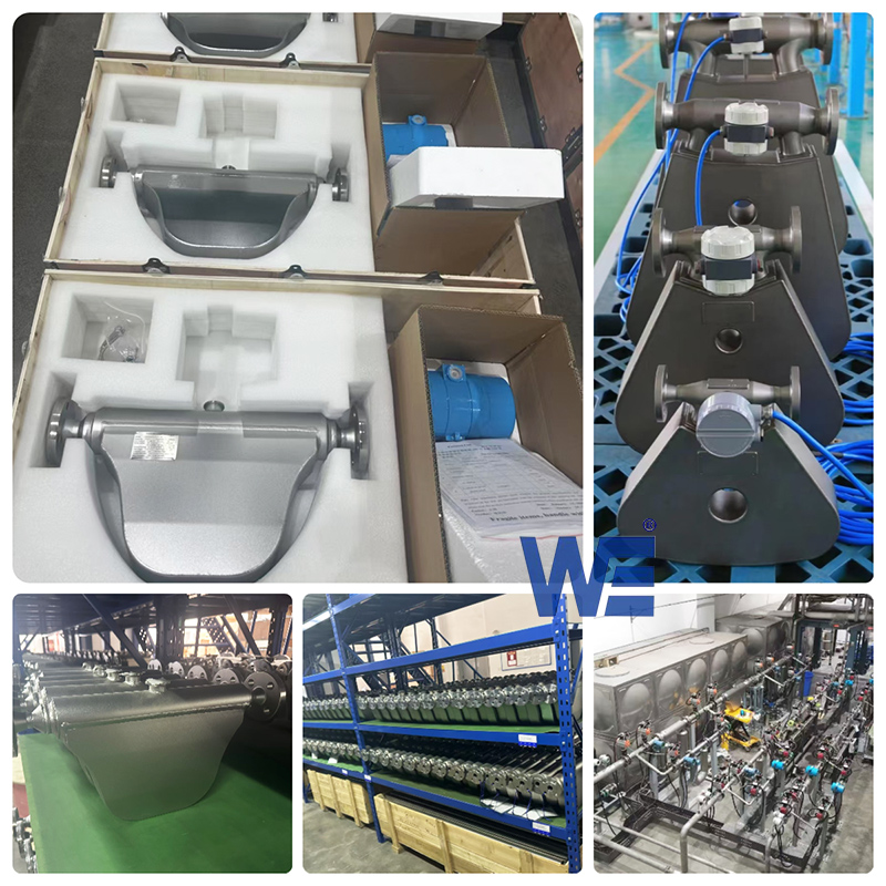 Mass flowmeter-workshop of Wepower