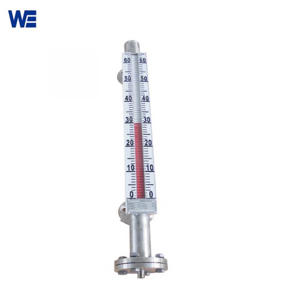 Side mounted magnetic level meter-Wepower Electroic