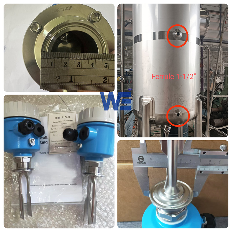 tuning fork level switch WPX501